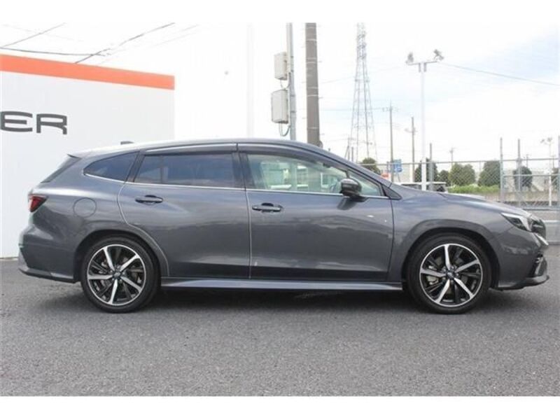 LEVORG