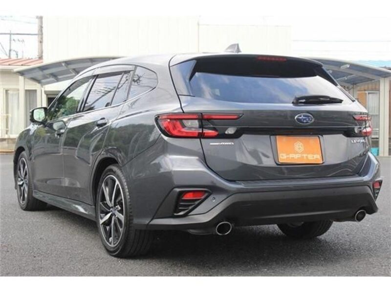 LEVORG