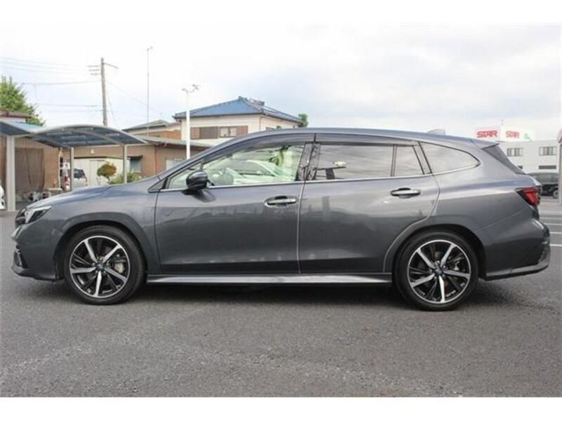 LEVORG