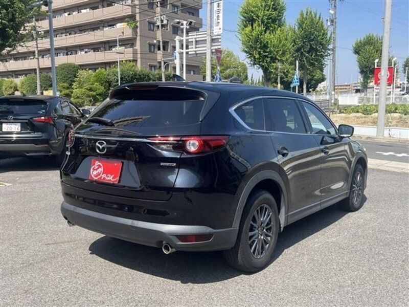 CX-8