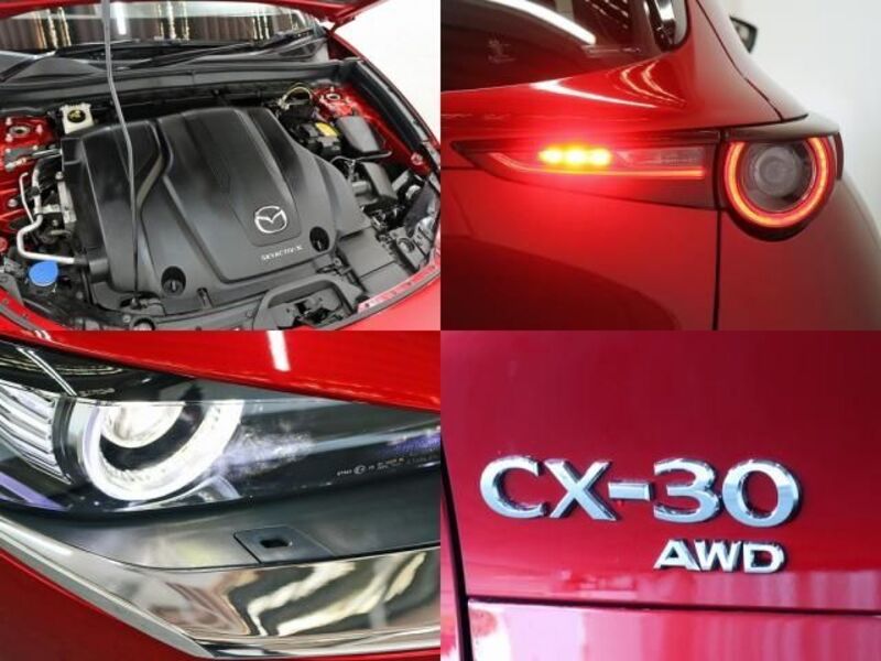 CX-30