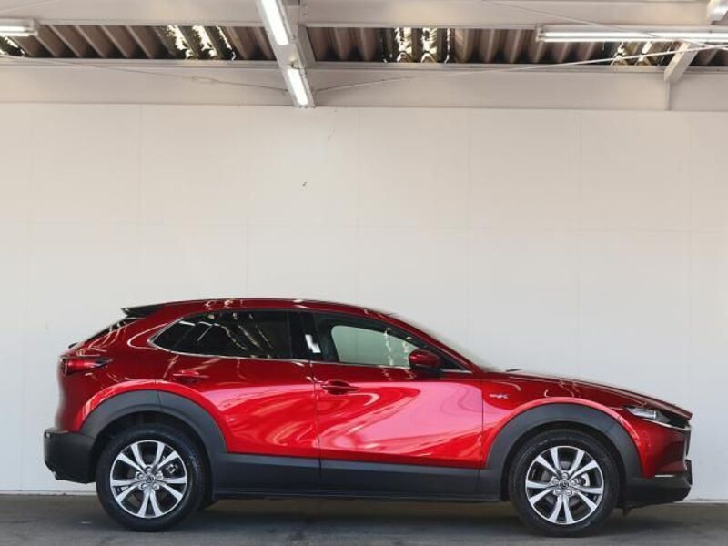 CX-30