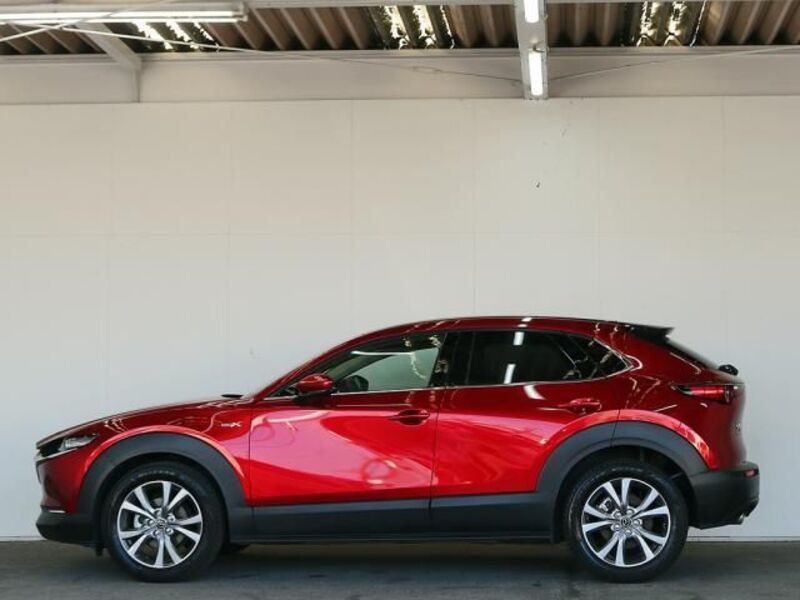 CX-30