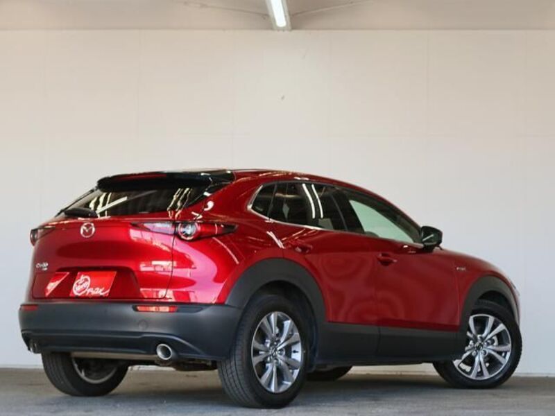 CX-30