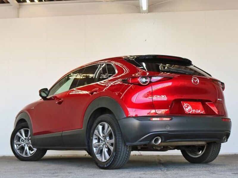 CX-30
