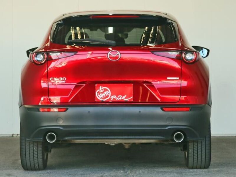 CX-30