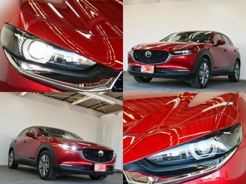 CX-30