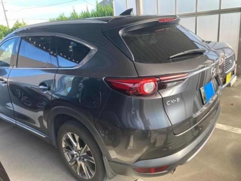CX-8