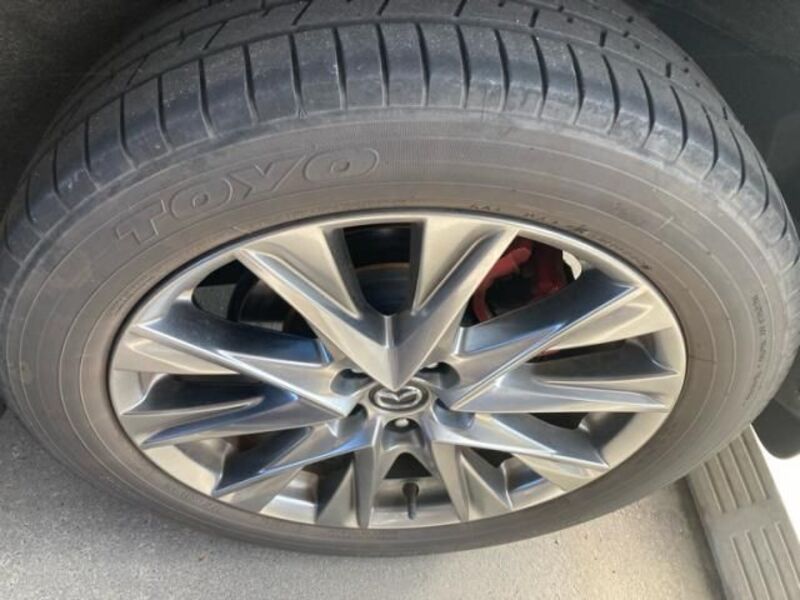 CX-8