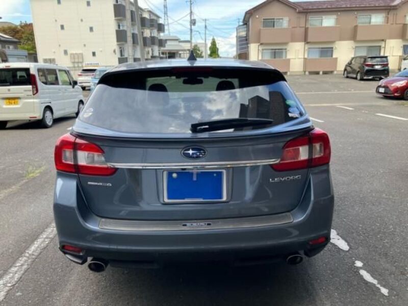 LEVORG