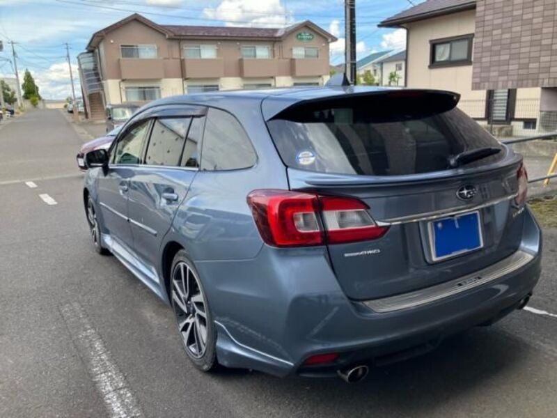 LEVORG
