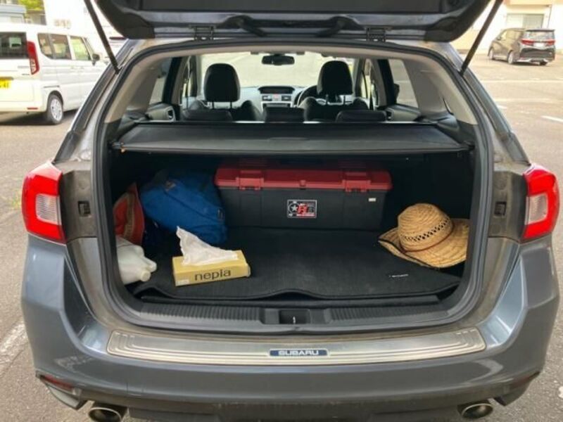 LEVORG