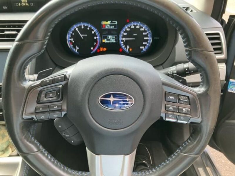 LEVORG