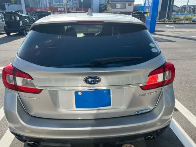 LEVORG