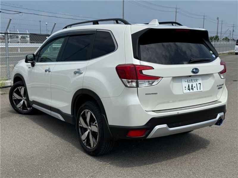 FORESTER