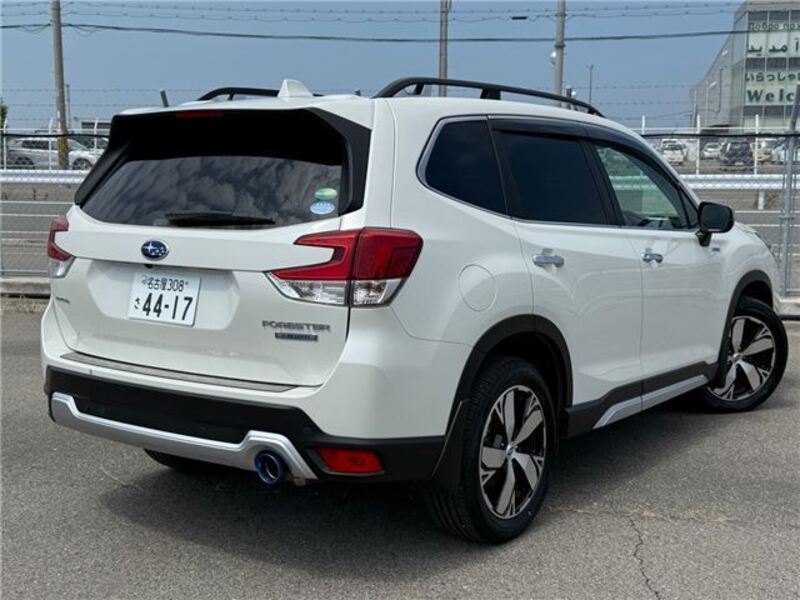 FORESTER