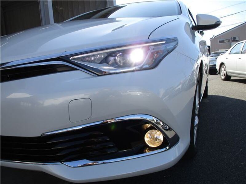 AURIS