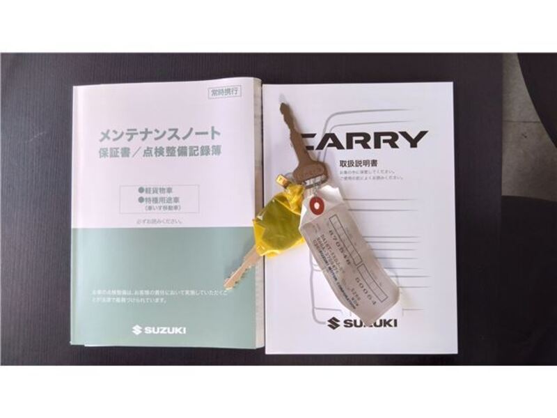 CARRY TRUCK