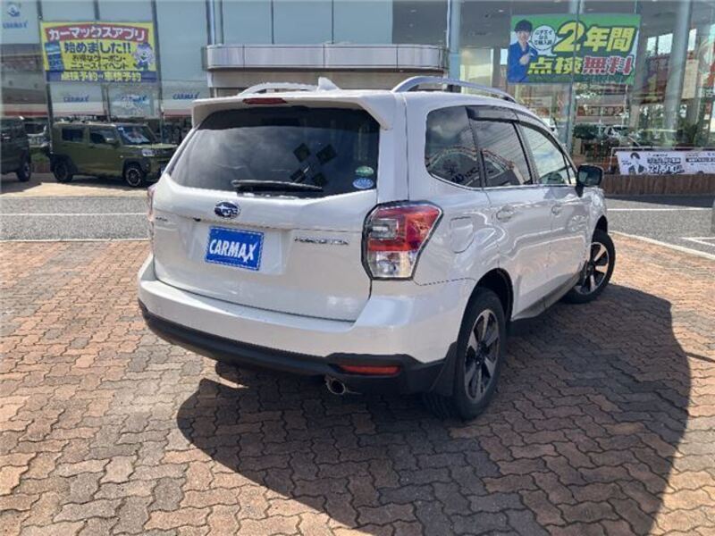 FORESTER