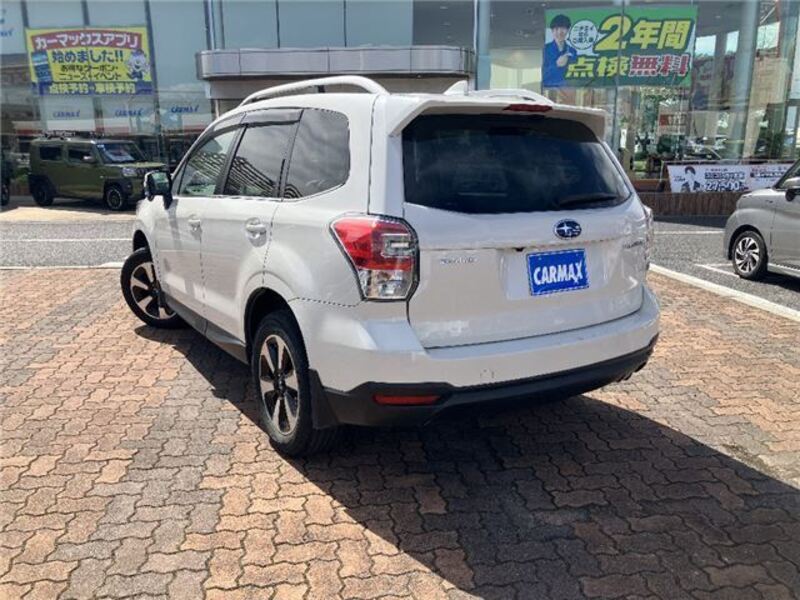 FORESTER