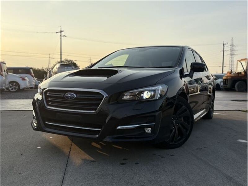 LEVORG-0