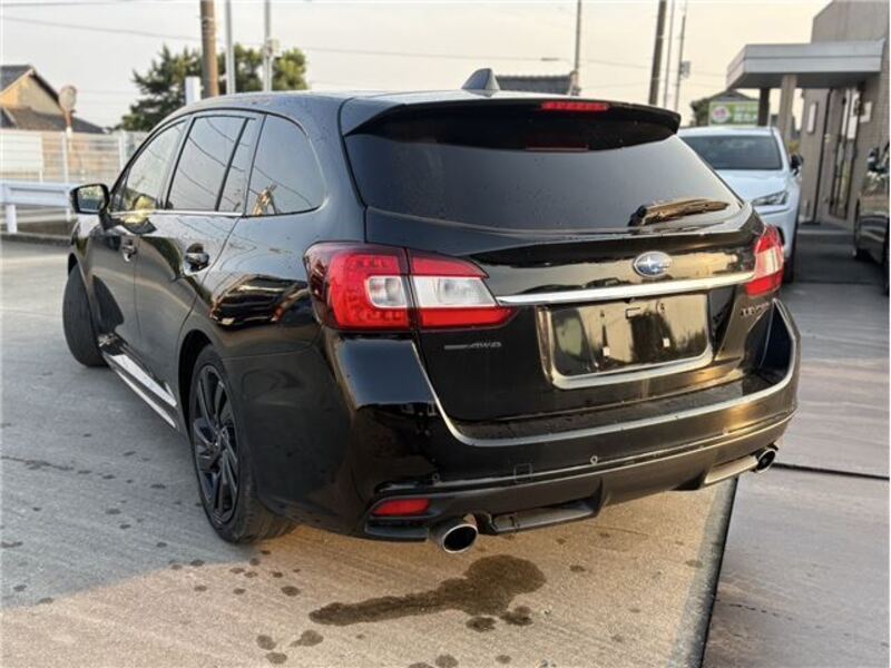 LEVORG