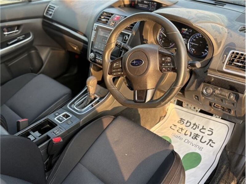 LEVORG