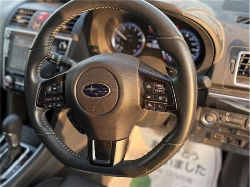 LEVORG