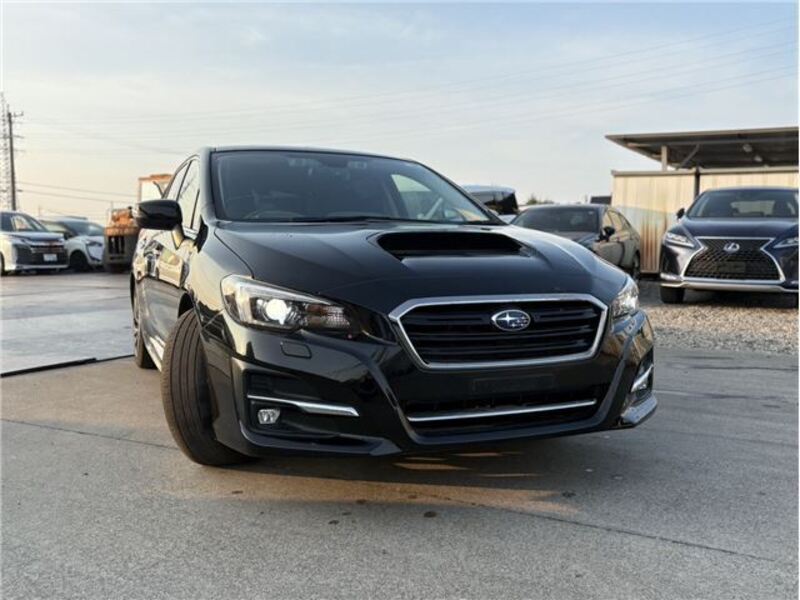 LEVORG