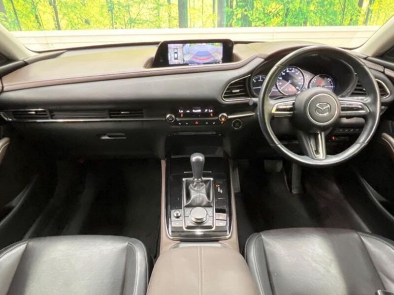 CX-30