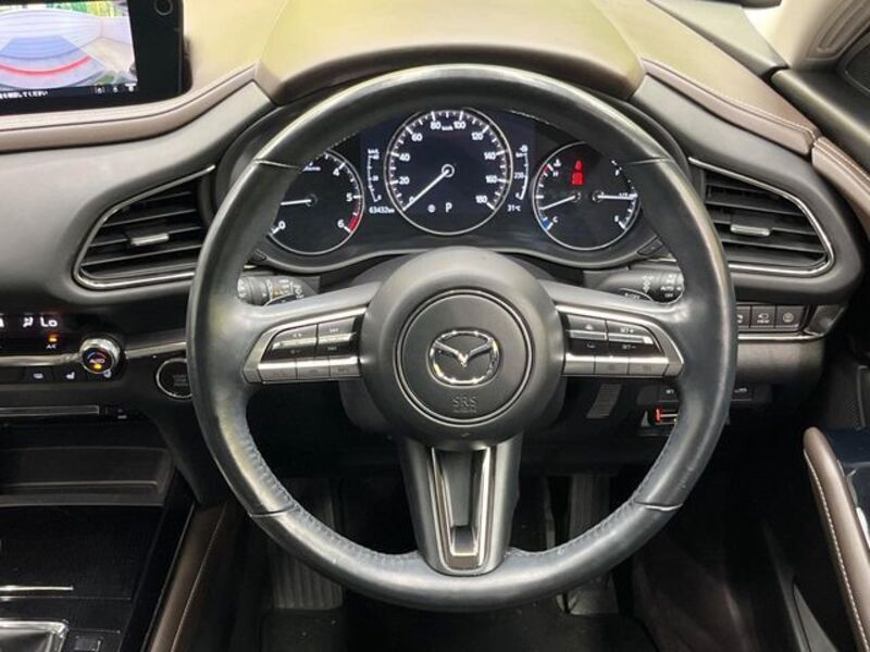 CX-30