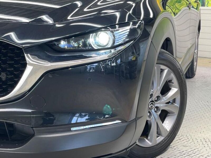 CX-30