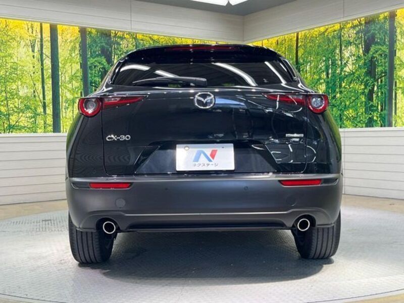 CX-30