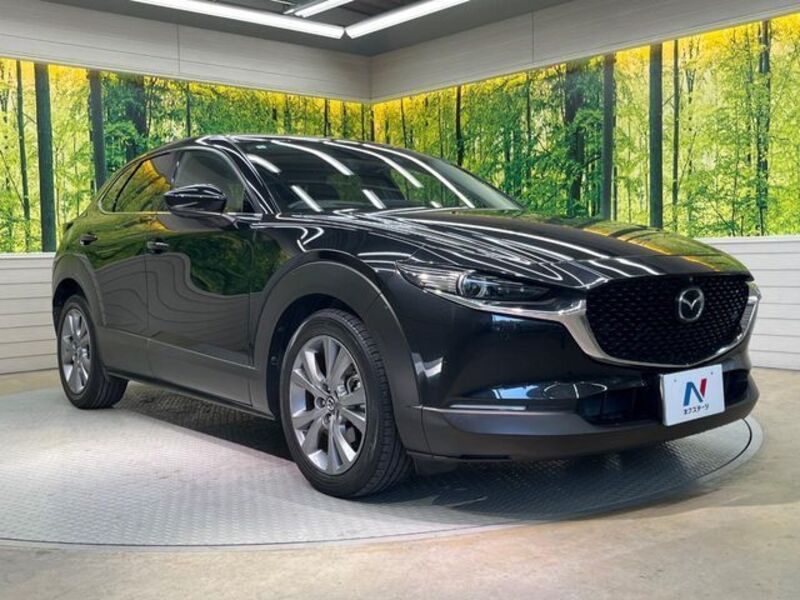 CX-30