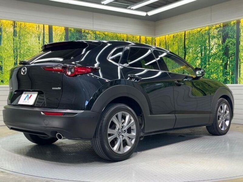 CX-30