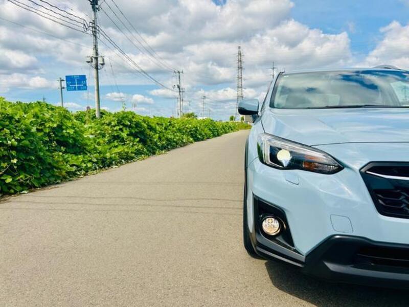 XV