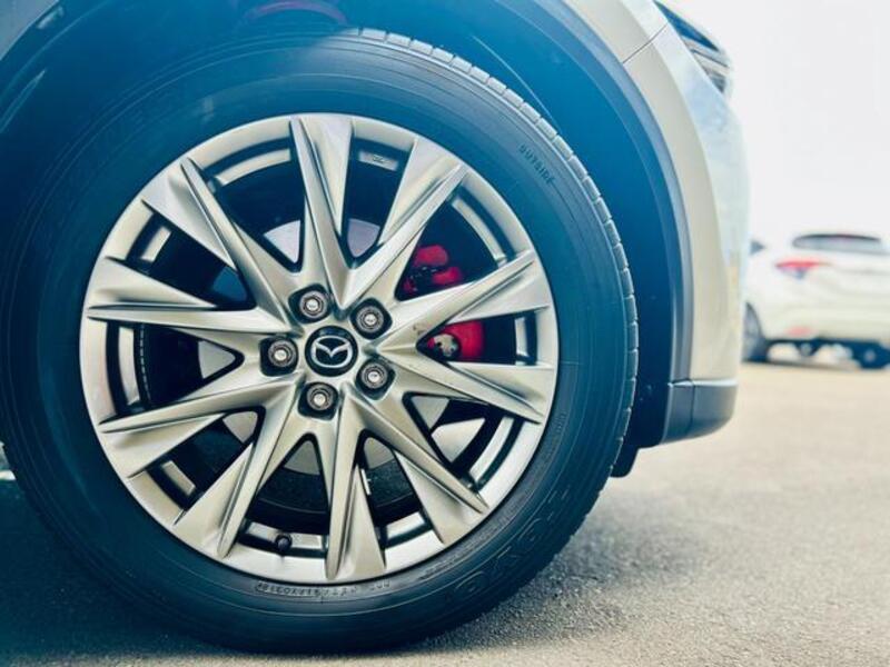 CX-8