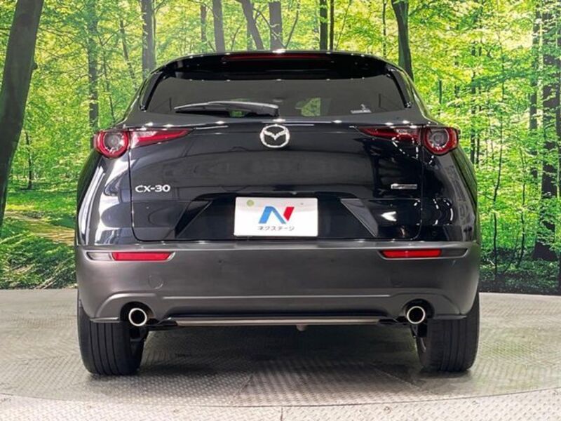 CX-30
