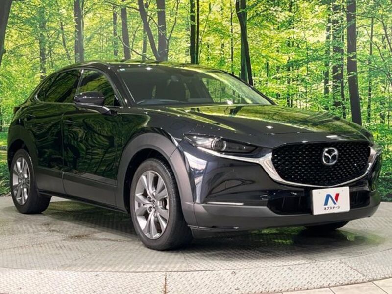 CX-30