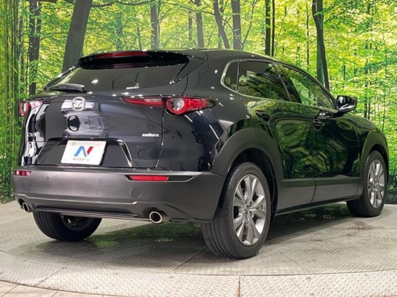 CX-30