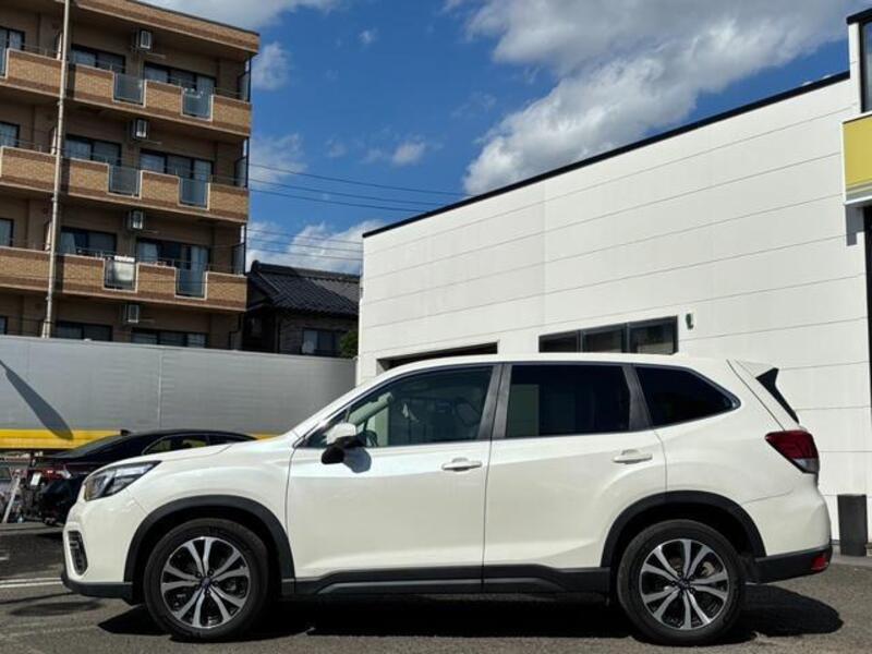 FORESTER