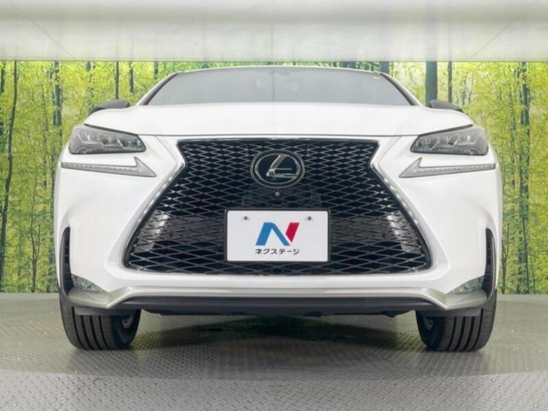NX