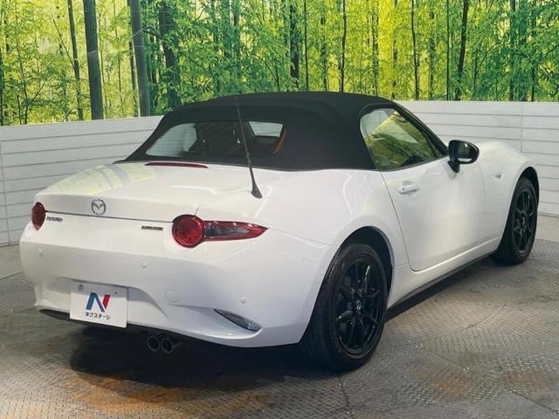 ROADSTER