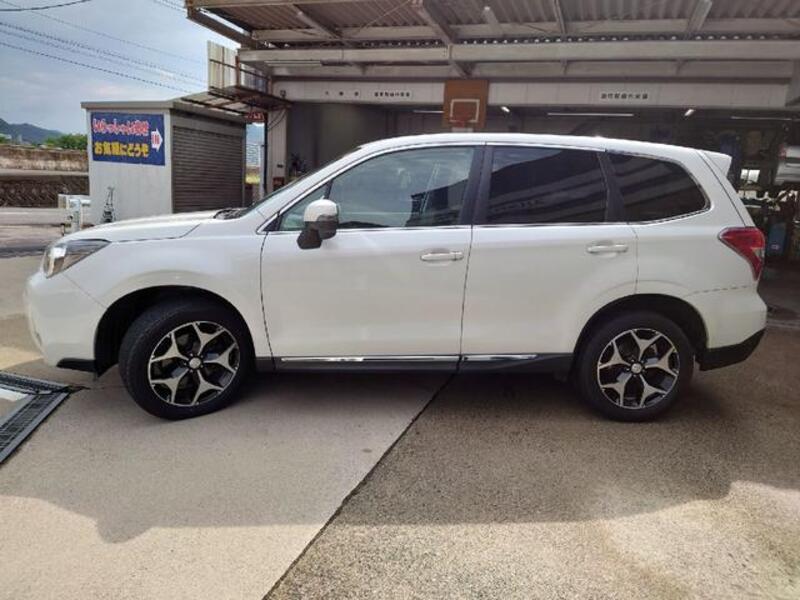 FORESTER