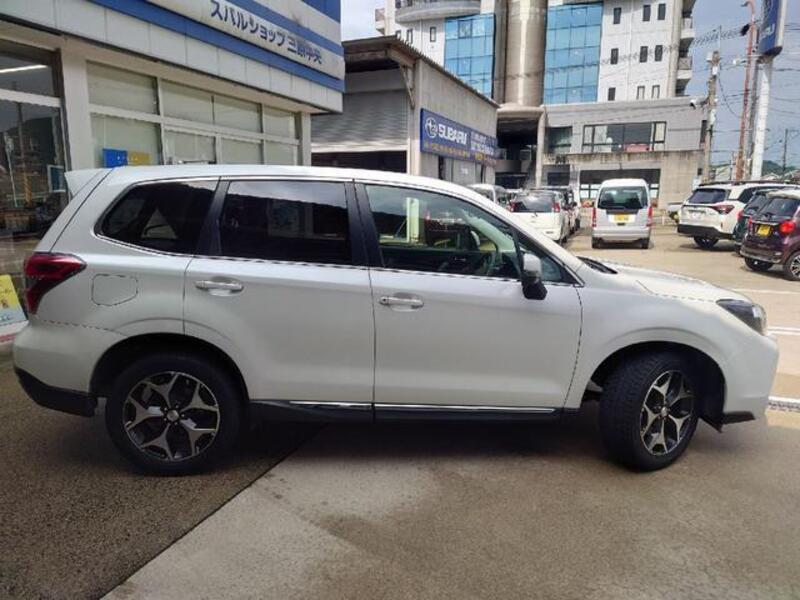 FORESTER