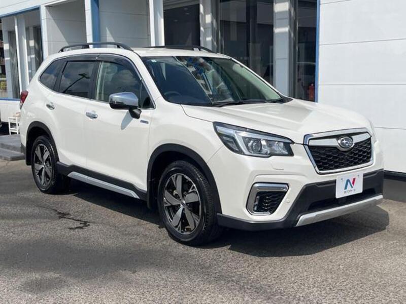 FORESTER