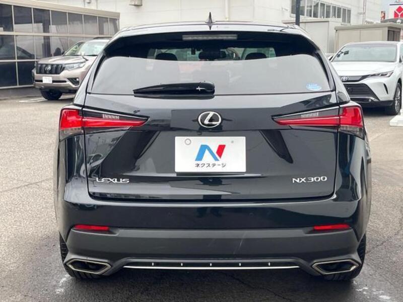 NX