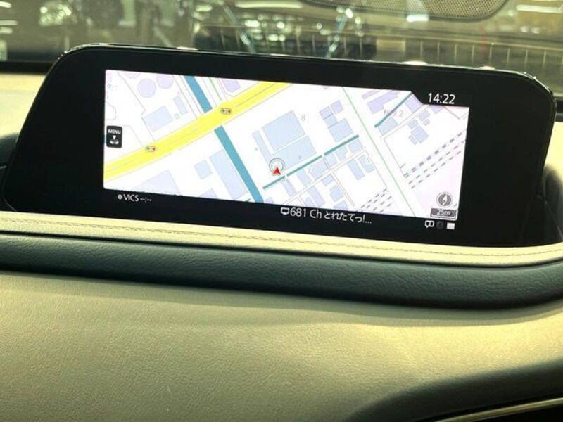CX-30