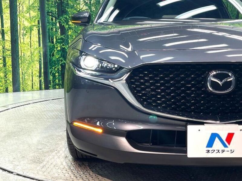 CX-30