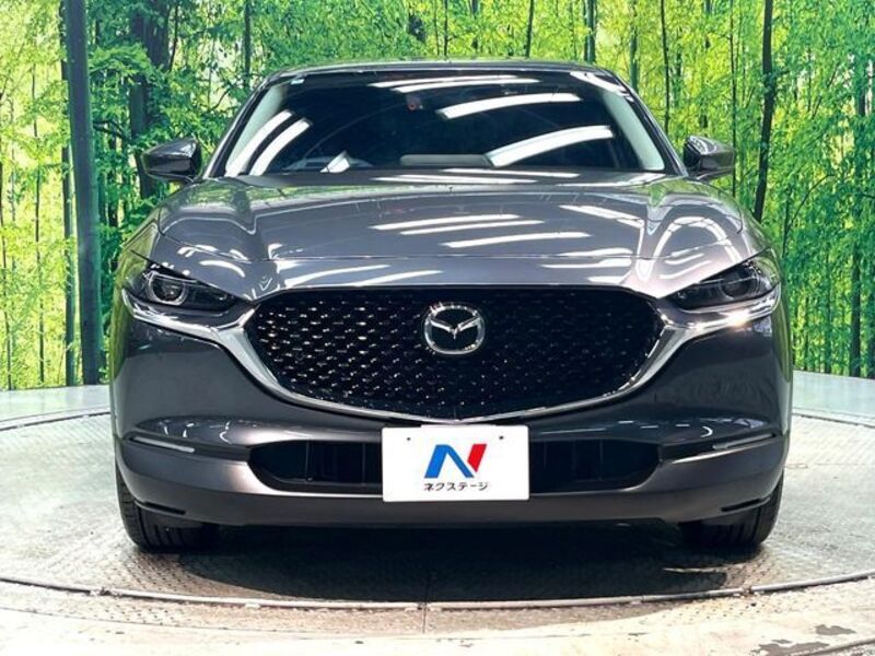 CX-30